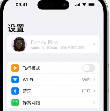 遂昌appleID维修服务iPhone设置中Apple ID显示为灰色无法使用