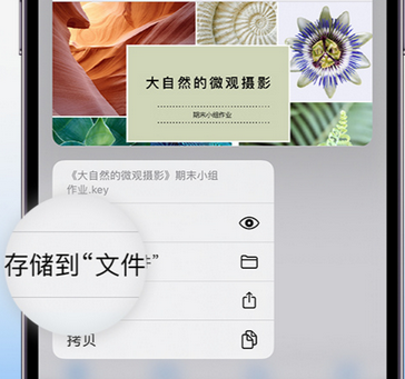 遂昌apple维修中心分享iPhone文件应用中存储和找到下载文件