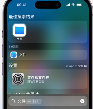 遂昌apple维修中心分享iPhone文件应用中存储和找到下载文件