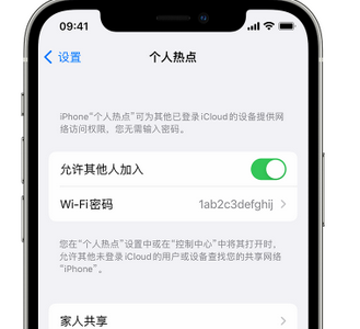 遂昌apple服务站点分享iPhone上个人热点丢失了怎么办