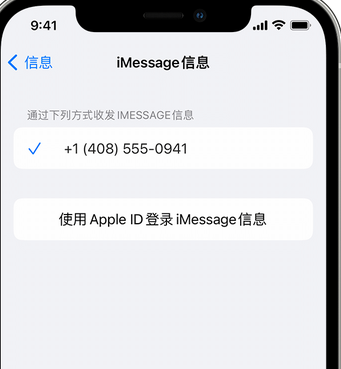 遂昌apple维修iPhone上无法正常发送iMessage信息