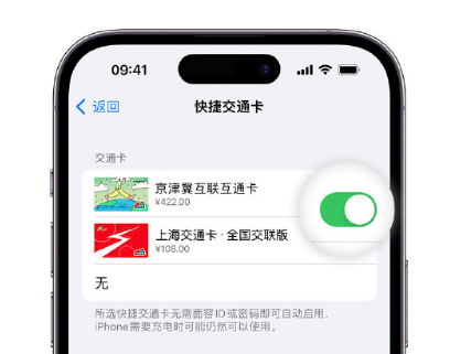 遂昌apple维修点分享iPhone上更换Apple Pay快捷交通卡手绘卡面 