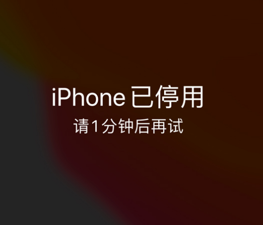 遂昌苹果手机维修分享:iPhone 显示“不可用”或“已停用”怎么办？还能保留数据吗？ 