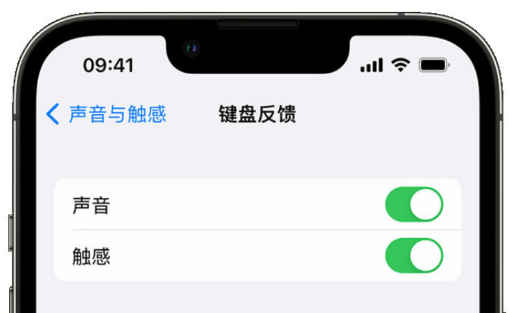 遂昌苹果手机维修分享iPhone 14触感键盘使用方法 