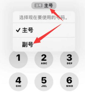 遂昌苹果14维修店分享iPhone 14 Pro Max使用副卡打电话的方法 