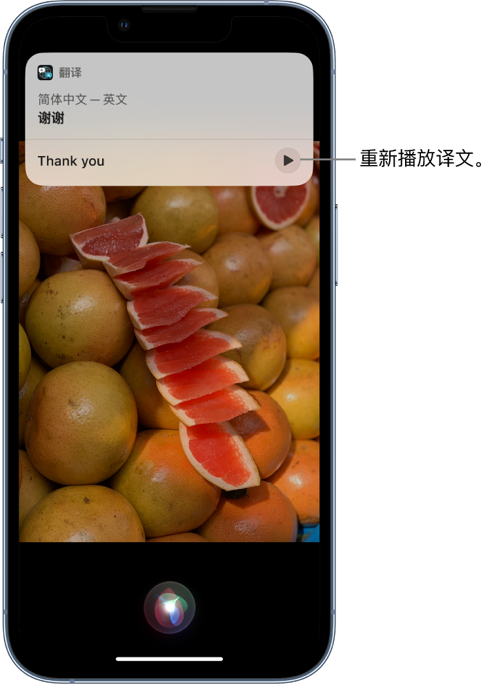 遂昌苹果14维修分享 iPhone 14 机型中使用 Siri：了解 Siri 能帮你做什么 