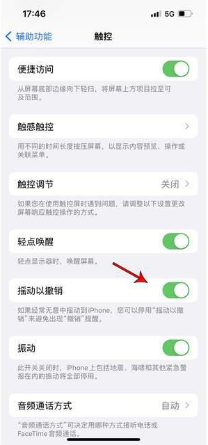 遂昌苹果手机维修分享iPhone手机如何设置摇一摇删除文字 