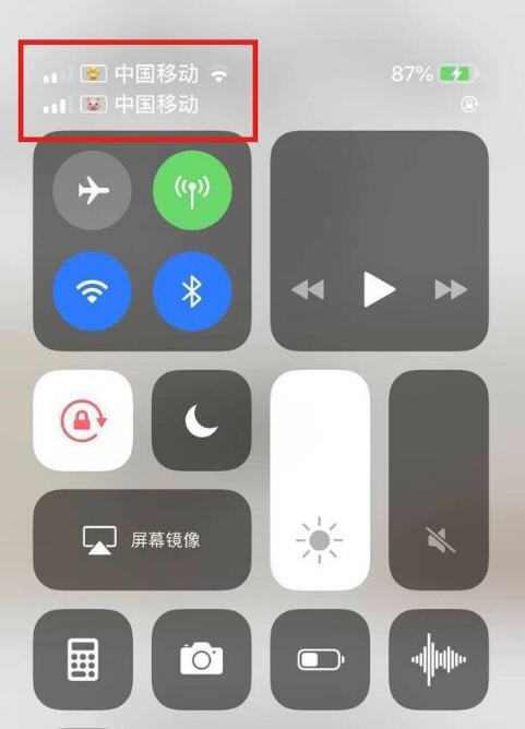 遂昌苹果手机维修分享为 iPhone 12 双卡设置标签 